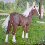 Häst från Rättvik