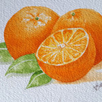 Apelsiner i akvarell
